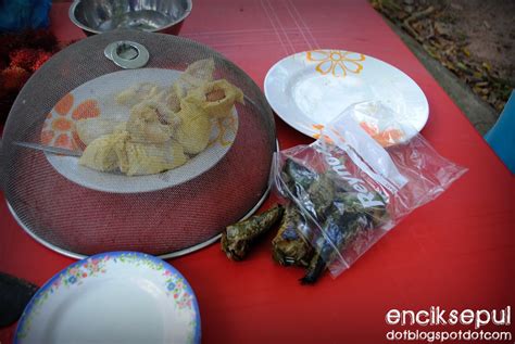 Sepul Makan Buah Buahan Tempatan
