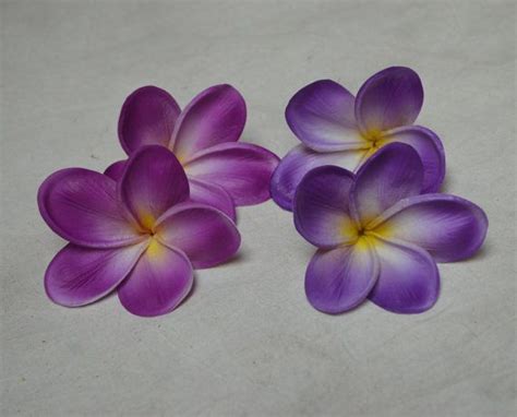 Ein Element ist eine Plumeria Blüte drei lila Farben zur Verfügung