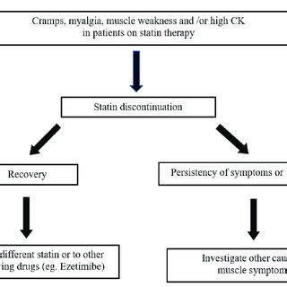 strategy  statin  muscle symptoms  scientific