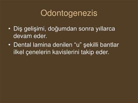 PPT DİŞ GELİŞİMİ PowerPoint Presentation free download ID 5080006