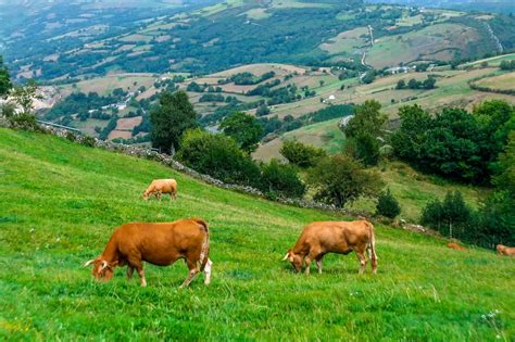 Agricultura Realiza Un Nuevo Pago De 9 1 M De La Ayuda Extraordinaria