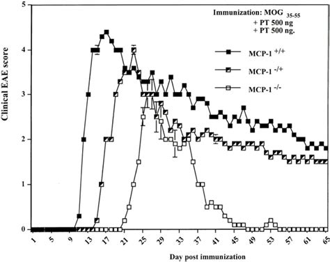 Effect Of Mcp Gene Disruption On Mog Induced Eae F Mcp