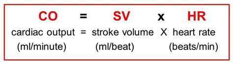 Nursing Post Preload And Afterload Of Heart