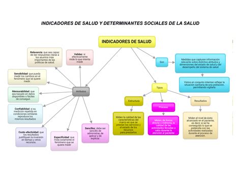 Indicadores Y Determinantes Sociales De La Salud INDICADORES DE SALUD