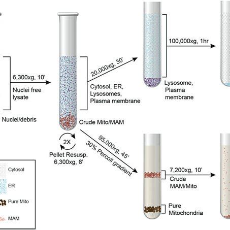 The Dynamic Array Ifc For Genotyping Which Enables Reactions