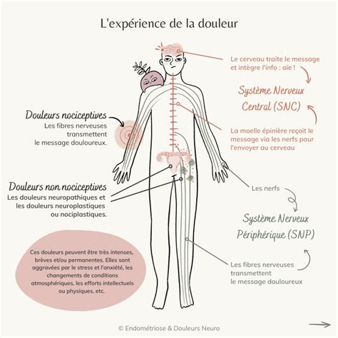 Douleurs Neuropathiques Nociceptives Association Endom Triose