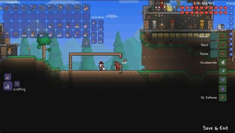 Terraria pc gratis - ucluda