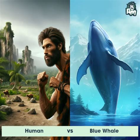 Blue Whale: Predator-Prey Interactions, Fights, and Aggressive ...