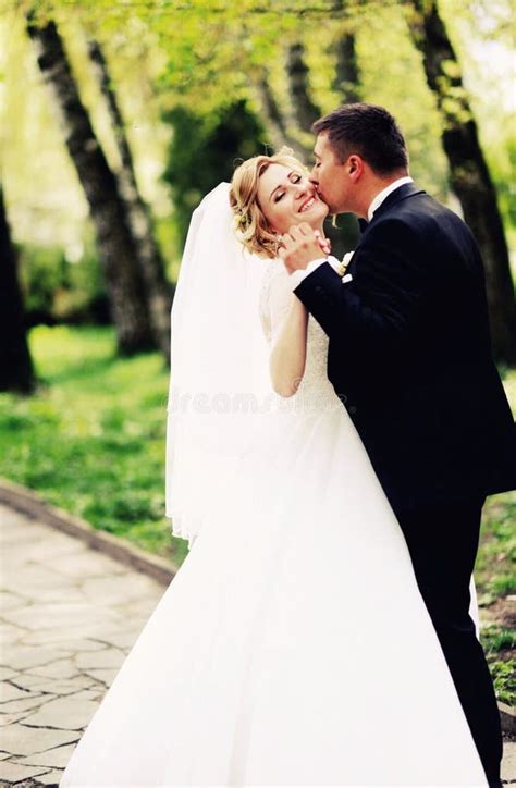 Feliz Novia Y Novio En Su Boda Foto De Archivo Imagen De Elegancia