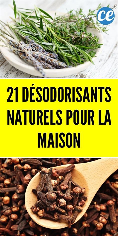 Astuces Pour D Sodoriser Naturellement Sa Maison D Sodorisant