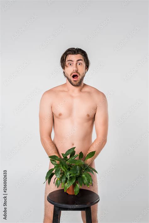 Shocked Naked Man Standing Behind Green Plant In Flowerpot On Chair Isolated On Grey Stock Photo