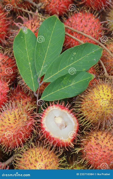 Rambutan Nephelium Lappaceum Fruit And Leaves Vertical Photo Format