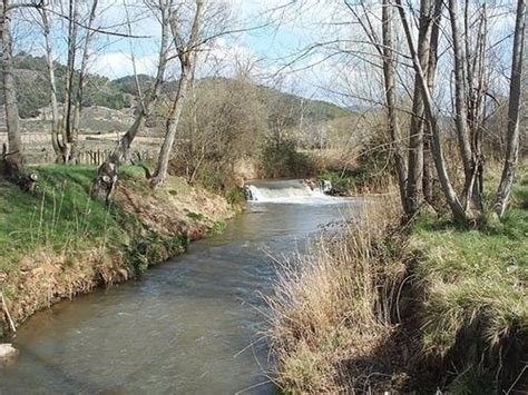 El INAGA autoriza la limpieza del cauce del río Jiloca