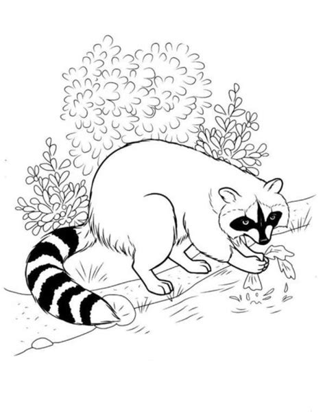 Forest Animals Coloring Pages (Free Printable PDF)