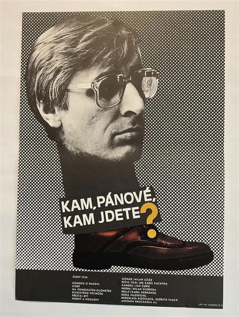 Kam P Nov Kam Jdete