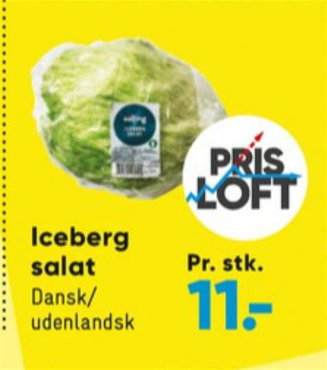 Salling Icebergsalat Bilka August 2022 Alle Tilbudsavis