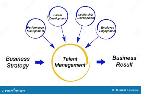 Talent Management Process Royalty Free Stock Photo