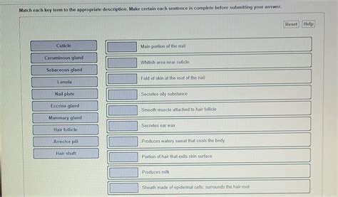 Solved Match Each Key Term To The Appropriate Description Chegg