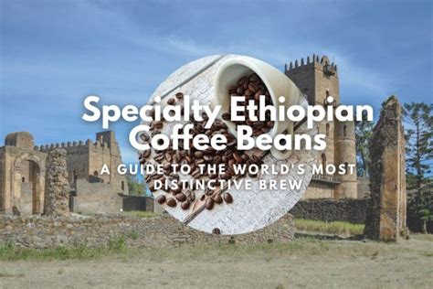 Specialty Ethiopian Coffee Beans: A Guide to the World's Most ...