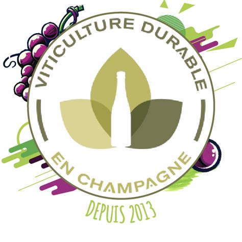 L Histoire De Notre Champagne De Vigneron Champagne Gilles Virey