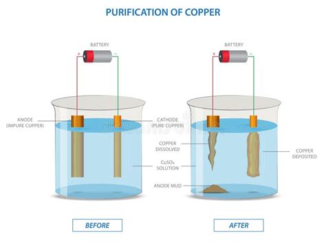 Electrolysis of Copper Sulfate Solution with Impure Copper Anode and Pure Copper Cathode Stock ...