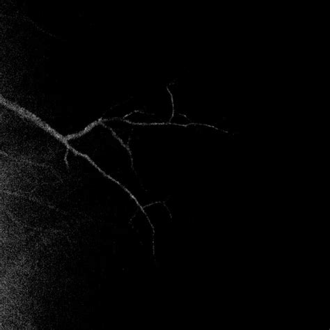 Only Nightmares | Strategic Silence