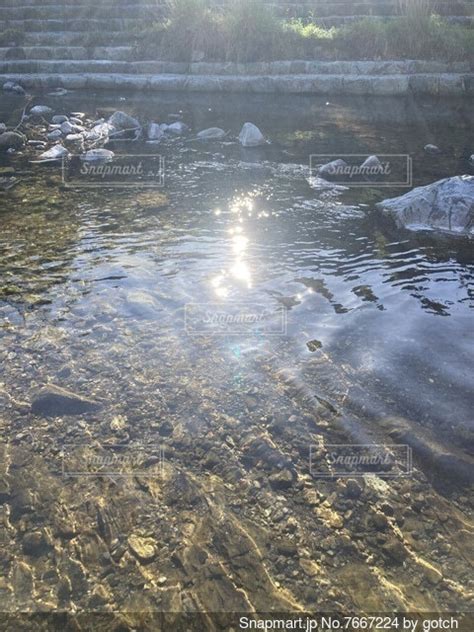 水面に映る太陽の写真・画像素材 7667224 Snapmart（スナップマート）