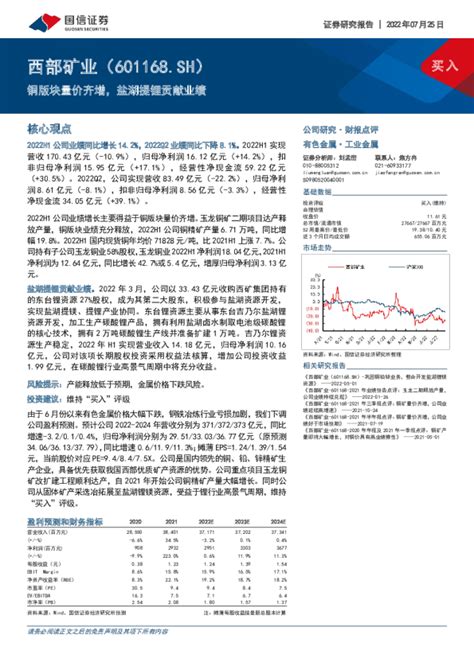 2022年半年报点评：铜版块量价齐增 盐湖提锂贡献业绩