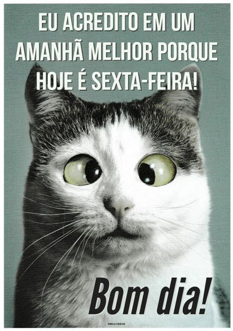 Frases engraçadas de Bom dia Sexta feira Belas Figurinhas