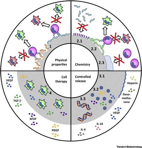 Engineering Immunomodulatory Biomaterials To Tune The Inflammatory