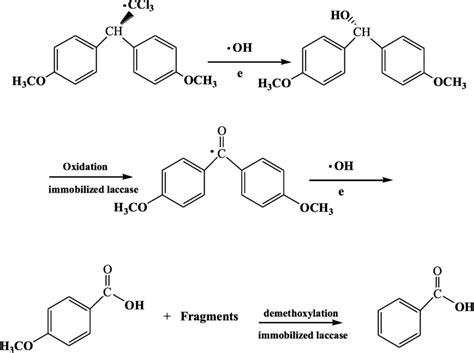 The Degradation Reaction Mechanism Of Mxc By Immobilized Compound