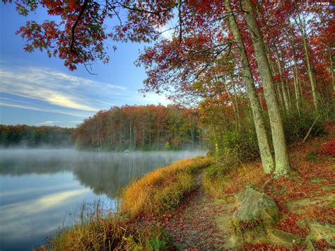 trees, viewes, lake, mist, autumn - Nice wallpapers: 1920x1440