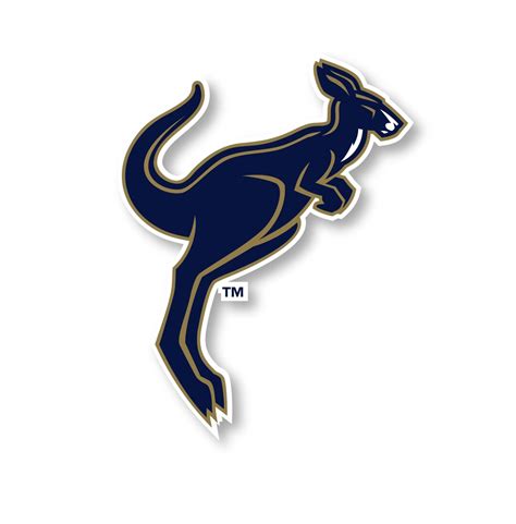 Akron Zips Vinyl Mascot Decal Sticker Etsy