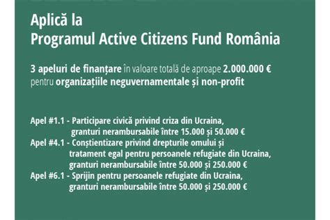 2 milioane de euro pentru sprijinirea ONG urilor implicate în criza