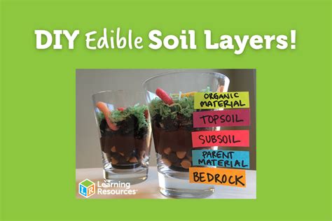 Diy edible soil layers – Artofit