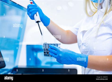 Preparing Blood Samples In A Lab A Nurse In A Laboratory Puts Reagents