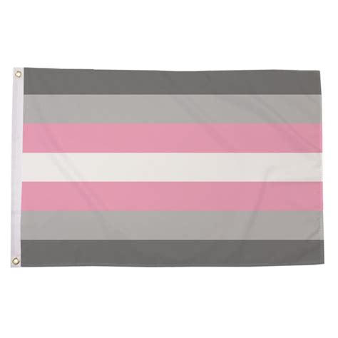 Demigirl 5ft By 3ft Premium Pride Flag The Pride Shop