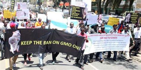 Activists Hold Anti Gmo Demo In Nairobi Nation