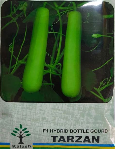 Green Kalash Tarzan F1 Hybrid Bottle Gourd Seeds Packaging Type