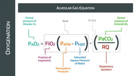 Alveolar Gas Equation