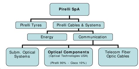 Pirellis Business Structure Year 2000 Download Scientific Diagram