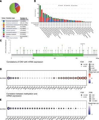 Frontiers Comprehensive Analysis Of 33 Human Cancers Reveals Clinical