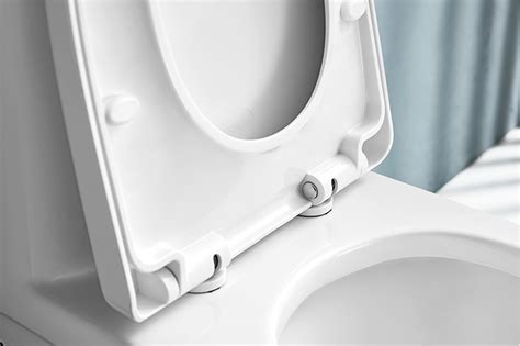 Washdown Piece Dual Flush Toilet S Trap Mm Closestool