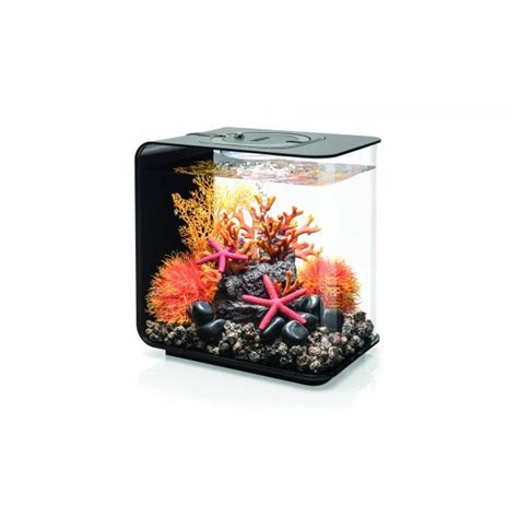 Oase Biorb Flow Led Black Aquarium From Lincs Aquatics Uk