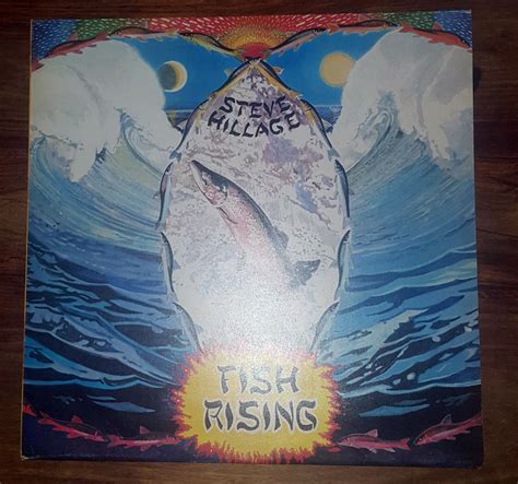 Steve Hillage Fish Rising 1976 UK Repress Vinyl LP Pierre Moerlin EBay