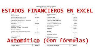 Arriba Imagen Modelo De Estados Financieros Persona Fisica