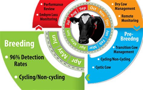 How to Breed and Maintain Livestock Successfully? – FermerOk