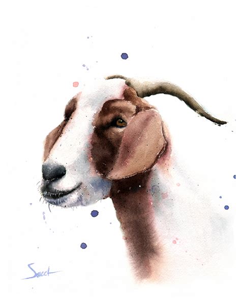 Goat Watercolor At Explore Collection Of Goat