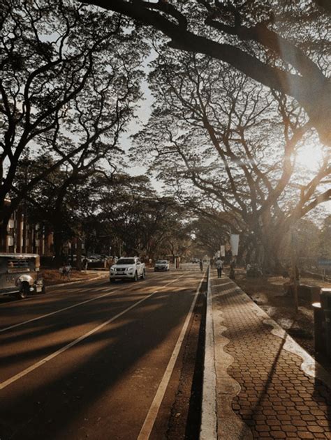 UP Diliman Photography On Behance Diliman Scenery University Of