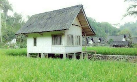 Rumah Kampung Sawah Padi KonnorkruwWerner